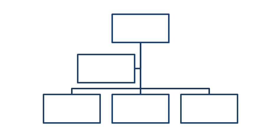  Struktur Organisasi Model Vertikal