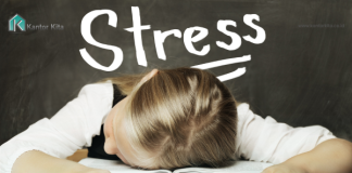 Wheel of Stress yang Menghambat Kompetensi Karyawan