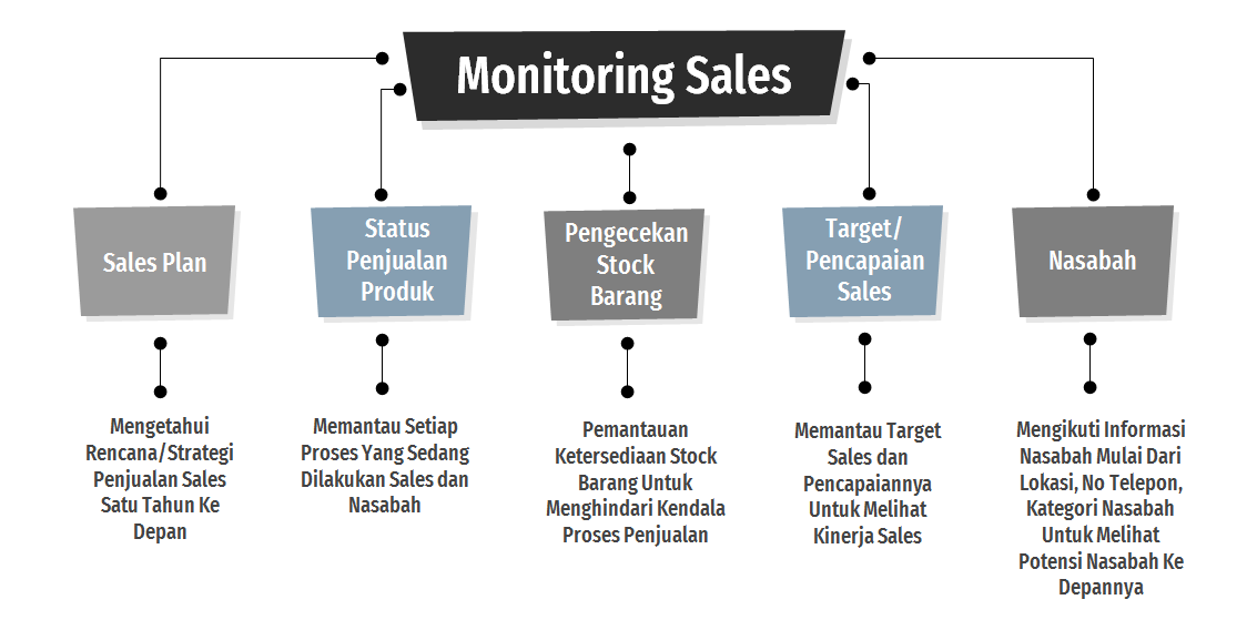 Monitoring Sales