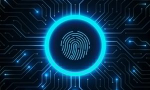 Fingerprint